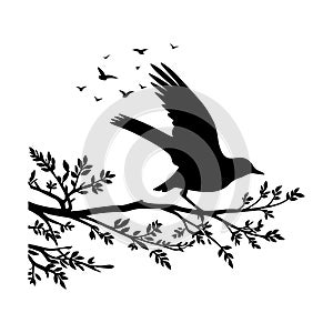 Silhouette of a bird landing on a branch on a white background photo