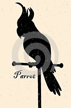 Silhouette of the bird. A parrot on a perch