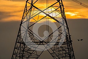 Silhouette of bird perched on high voltage post,High voltage tower sky sunset background