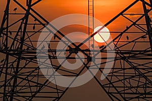 Silhouette of bird perched on high voltage post,High voltage tower sky sunset background