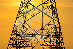 Silhouette of bird perched on high voltage post,High voltage tower sky sunset background