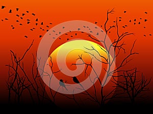 Silhouette bird and tree branch on orange sun vector design