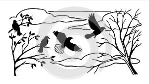 Silhouette of Birds on Branches and in Flight