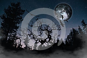Silhouette of birds and dead tree on the background night sky with moon \