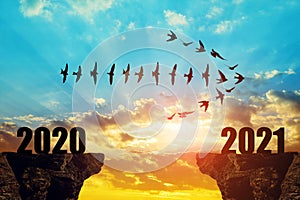 Silhouette of birds flying in arrow formation into the New Year 2021.
