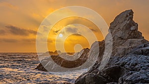 Silhouette of birds flying over the rocky cliffs of Big Sur in California during the sunset