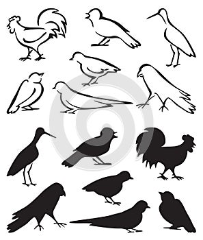 Silhouette birds sitting