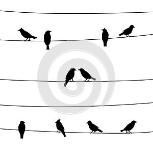 A silhouette of birds on wires