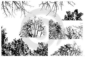 Silhouette black branch and tree forest set isolate on white background