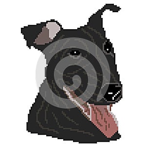 The silhouette of a black dog Pit Bull Terrier breed is a face, the head is drawn in the form of squares, pixels