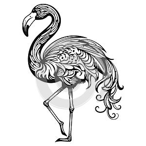 Silhouette of a black flamingo bird, drawn on a white background. isolated vector.