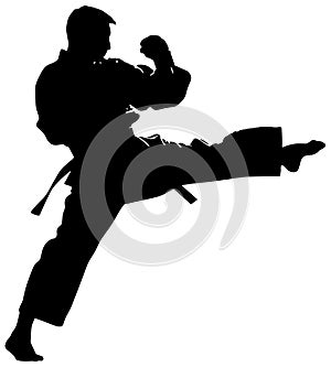 Silhouette of a man doing Tae Kwon Do photo