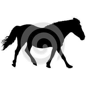 silhouette of black mustang horse vector illustration