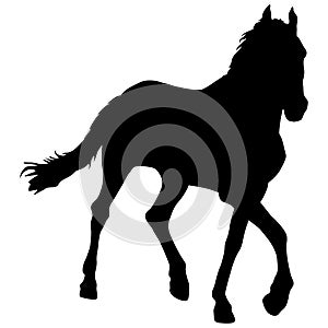 silhouette of black mustang horse vector illustration