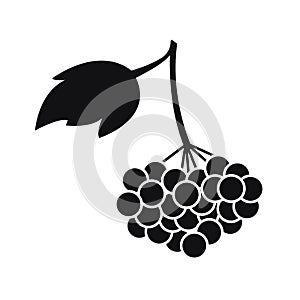 Silhouette black and white image of viburnum berries