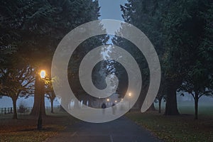 Silhouette of blurred people that walks in fog in Phoenix Park, Dublin, Ireland