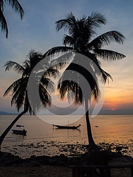 Silhouette of a boat and palm trees against the setting sun with clouds