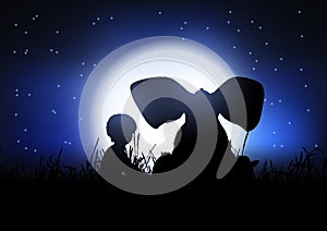 Silhouette of a boy and an elephant silhouetted against night sky