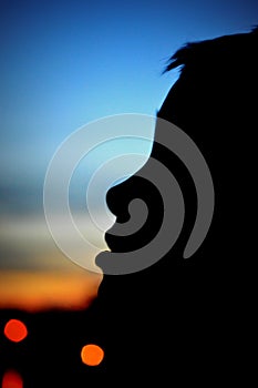 Silhouette of Boy Looking Up At The Evening Sky