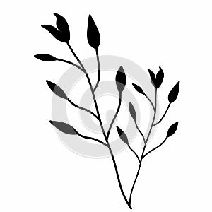 Silhouette branch icon with leaves and stem in modern style
