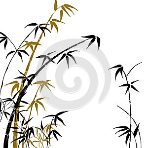 Silhouette of branches of a bamboo