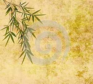 Silhouette of branches of bamboo on paper backgr