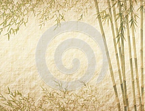 Silhouette of branches of bamboo on paper backgr