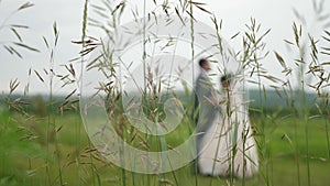 Silhouette of a bride in a beautiful white dress and groom dancing on the meadow. teamwork of a loving couple. happy