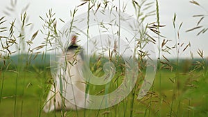 Silhouette of a bride in a beautiful white dress and groom dancing on the meadow. teamwork of a loving couple. happy