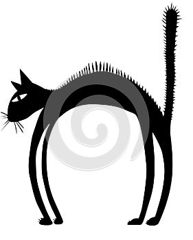 A silhouette of bristle black cat