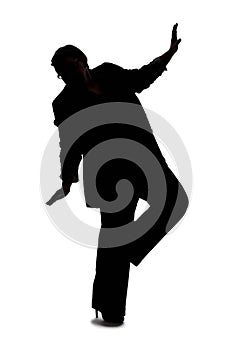 Silhouette of a Businesswoman Falling or Slipping