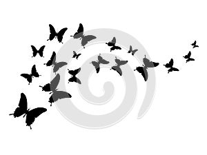 Silhouette butterflies design ,isolated on transpant background