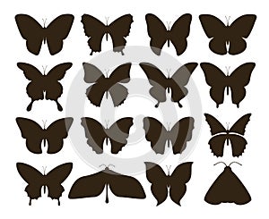 Silhouette butterflies. Simple collection of hand drawn black tattoo shapes, vintage insect set. Vector butterfly