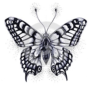 Silhouette of butterfly. Symbol of soul, immortality, rebirth and resurrection. Black and white Tattoo photo