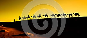 Silhouette of a camel caravan