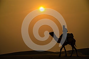 Silhouette of camel ride during sunset, in Thar desert, Jaisalmer, Rajasthan, India,