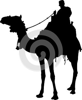 silhouette of a camel rider vector isolated on white background