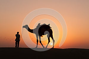 Silhouette camel in Thar desert