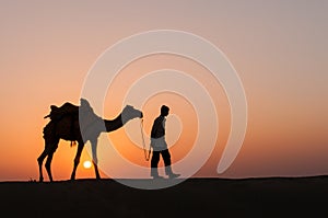 Silhouette camel in Thar desert