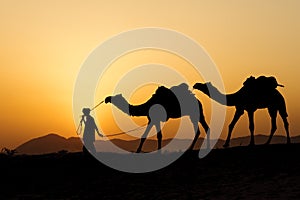 Silhouette of the Camel Trader crossing the sand dune.