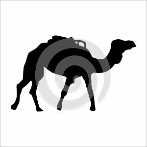 silhouette of a camel, on a white background
