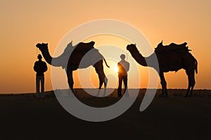 Silhouette camels in Thar desert