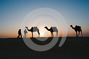 Silhouette camels in Thar desert