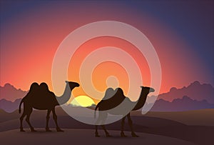 Silhouette camels walking in Arabian desert with colorful sunset and cloudscape. The brown silhouette of the caravan in the desert