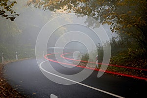 Silhouette of a car on the road through the forest. Nature, road, trip