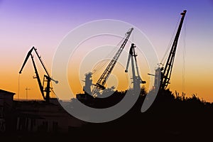 Silhouette of of cargo cranes. Port wharf landscape. Bright sunset, bright sky. Evening in the port