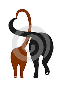 Silhouette of cat and dog, making heart with their tails