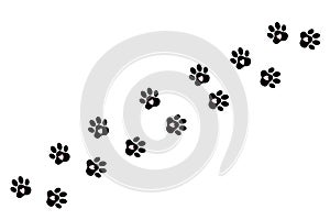 Silhouette of cat paws. Paw prints. The dog and cat puppy icon. Traces of a pet. The puppy's paws are highlighted on