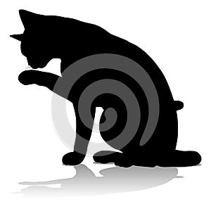 Silhouette Cat Pet Animal