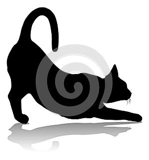 Silhouette Cat Pet Animal